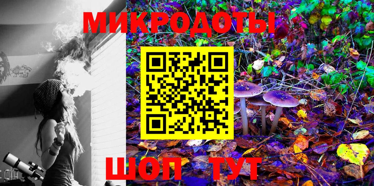 Энгельс  Псилоцибиновые грибы мицелий  купить наркоту  Вход с VPN 
