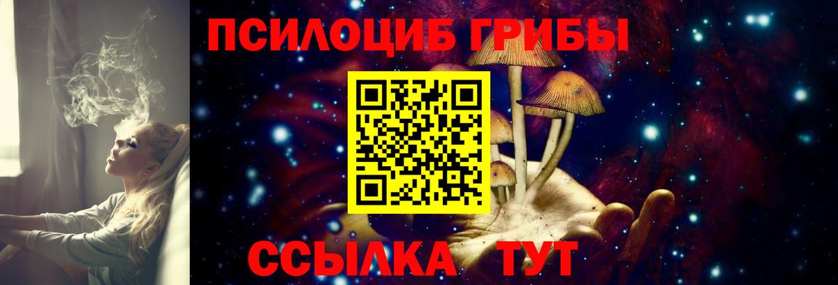 Псилоцибиновые грибы Magic Shrooms Энгельс